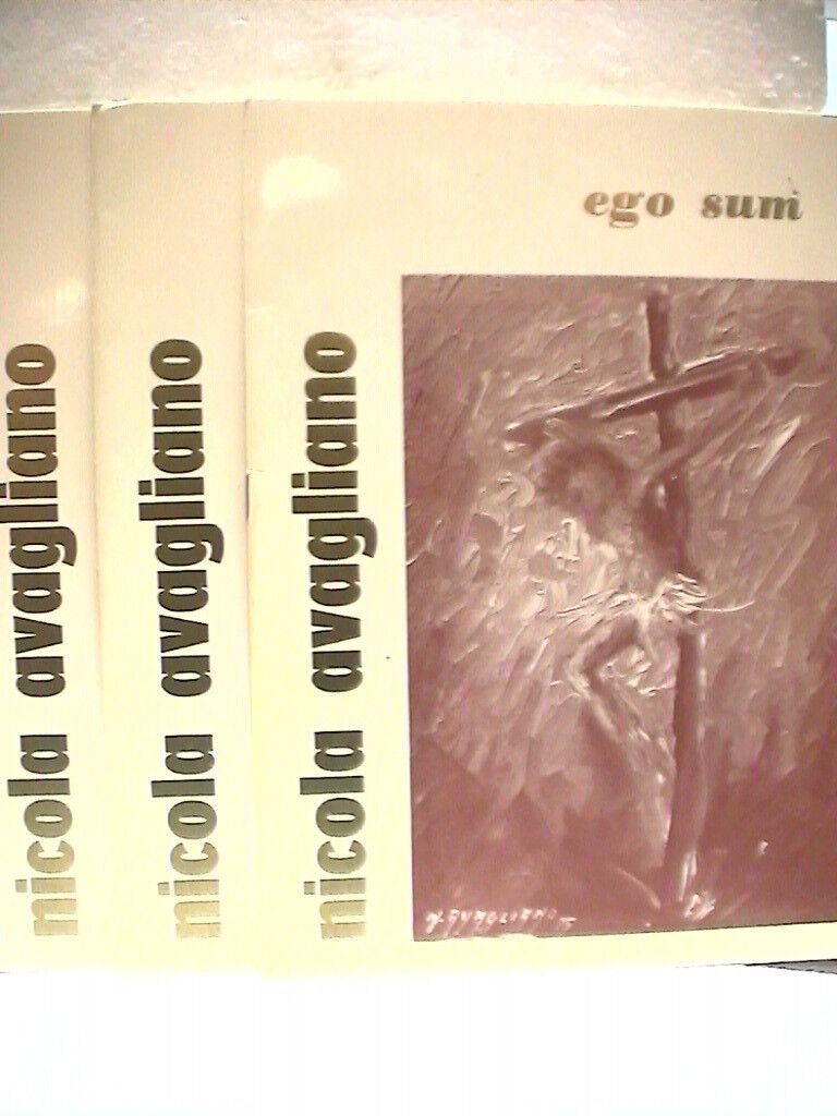 23951534