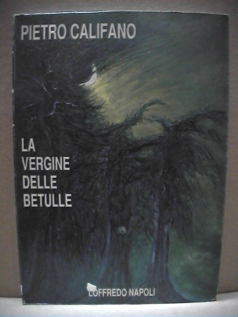 23953582