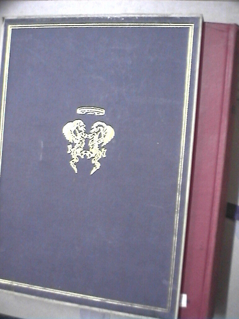 23970081