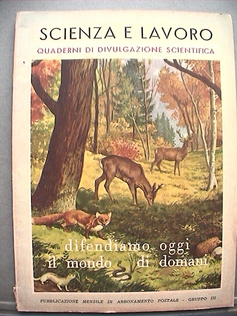 23953598