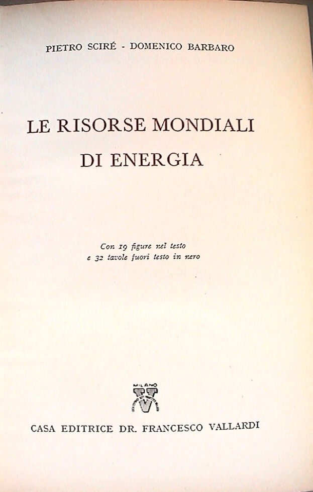 23954977