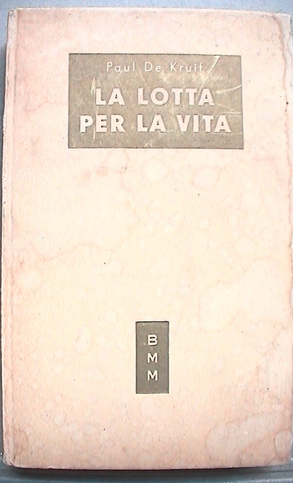 23957304