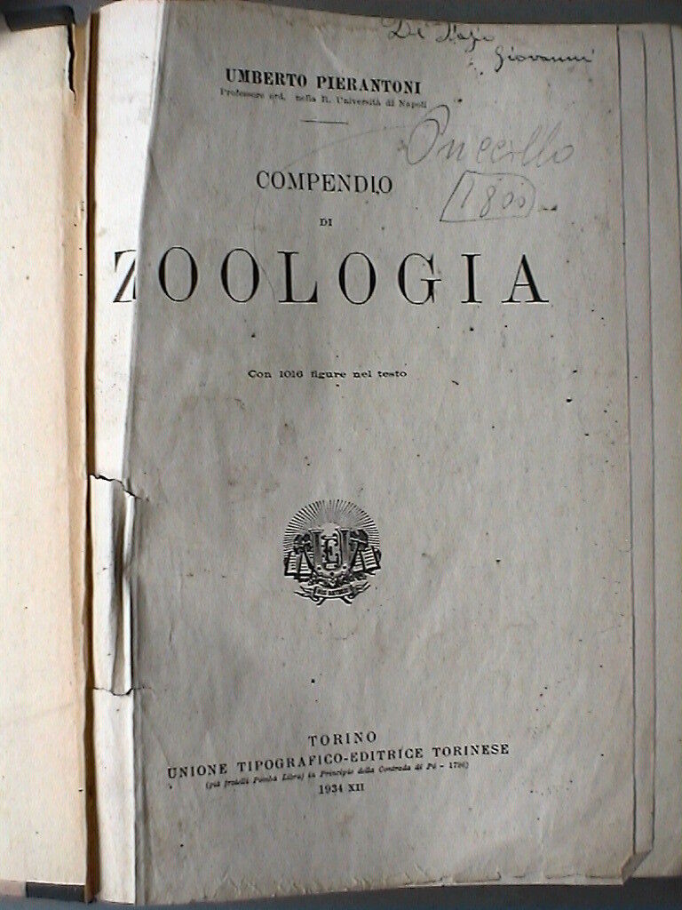 23959126