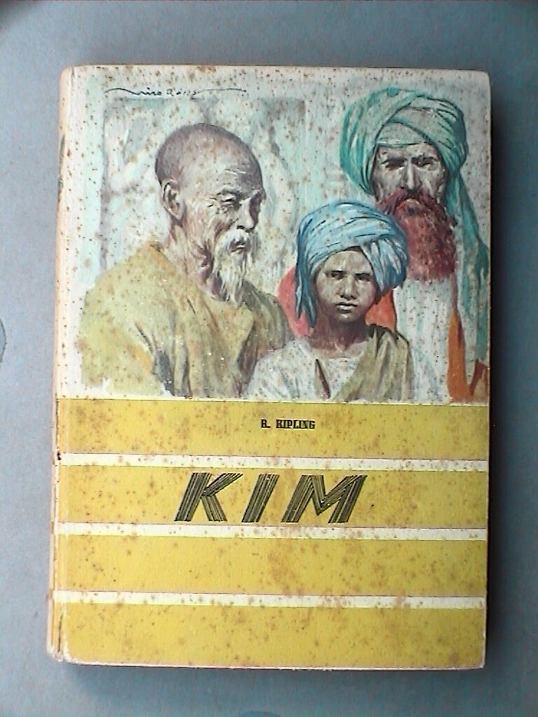 23954461
