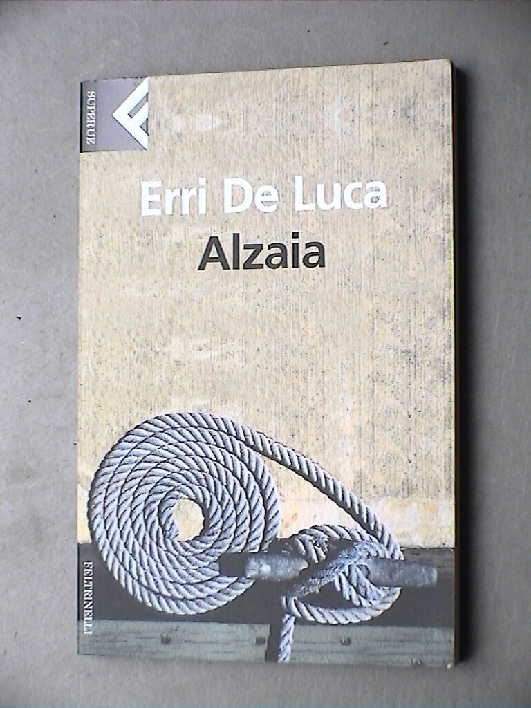 23956519
