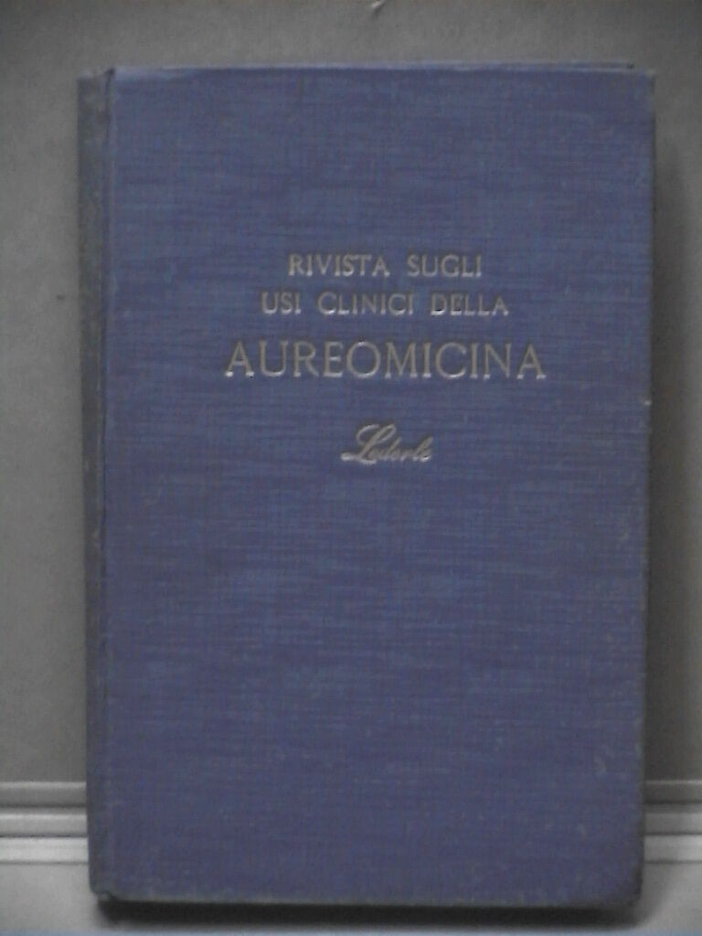 23958031