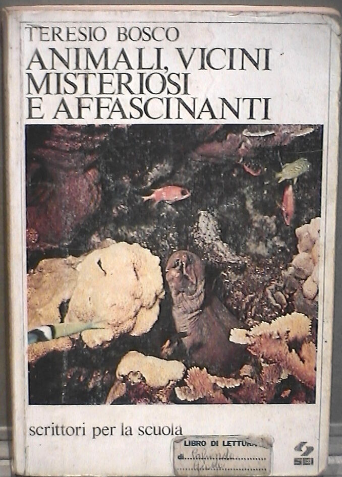 23960051