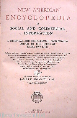 23966062