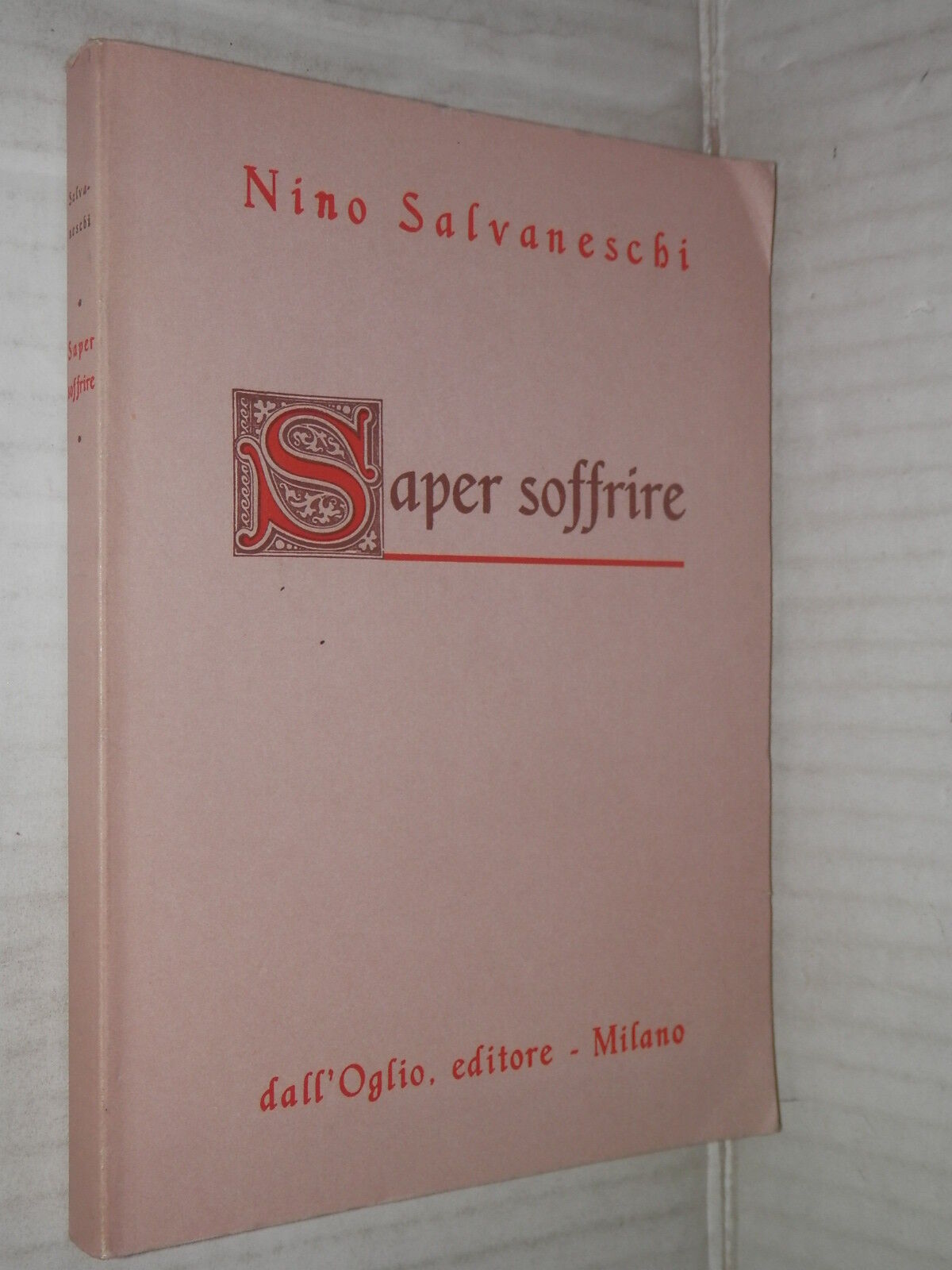 25253734