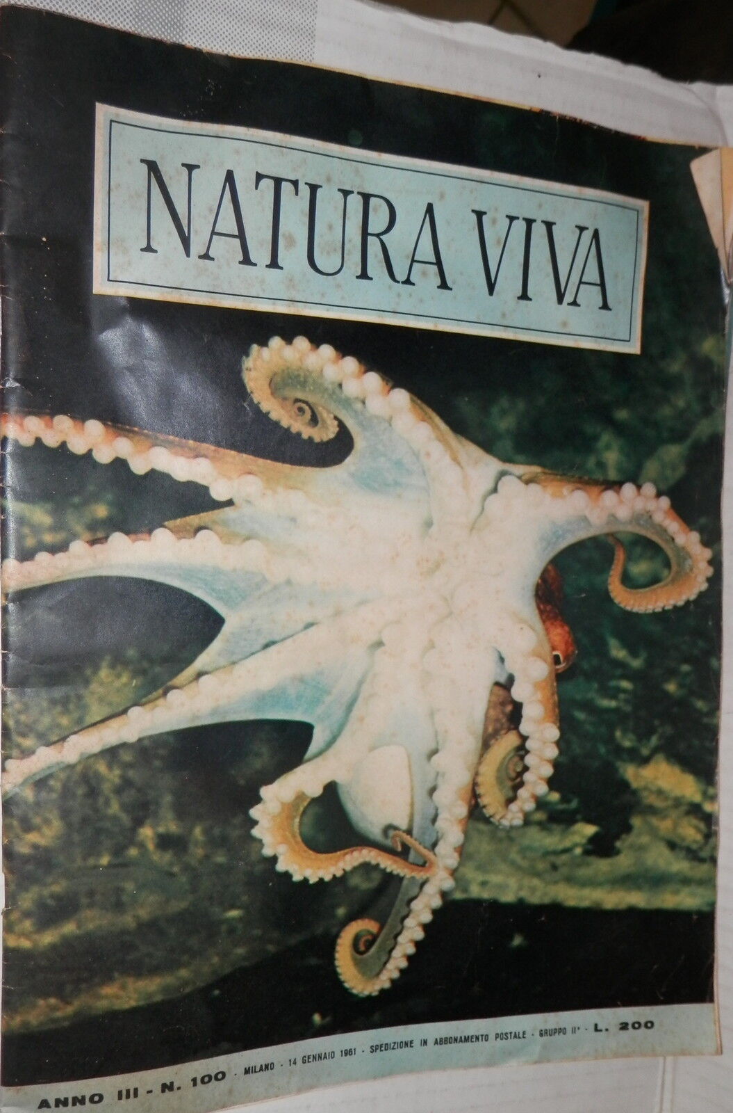 25254557