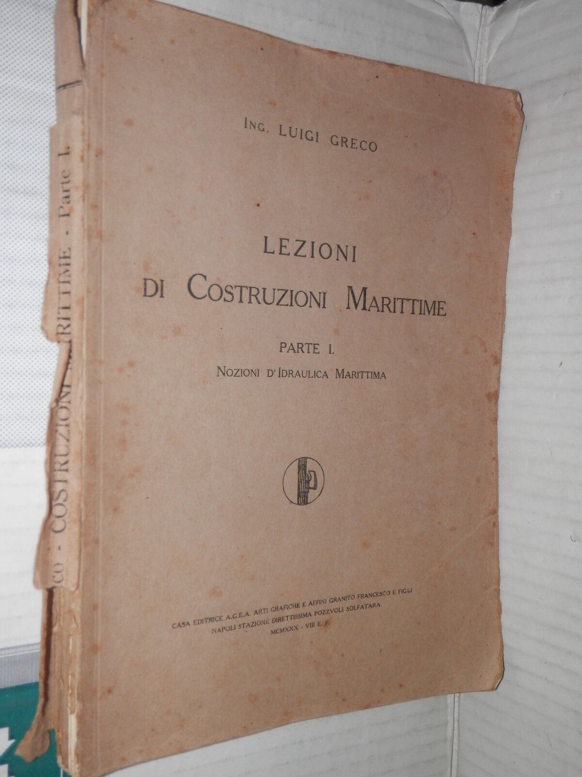25254602