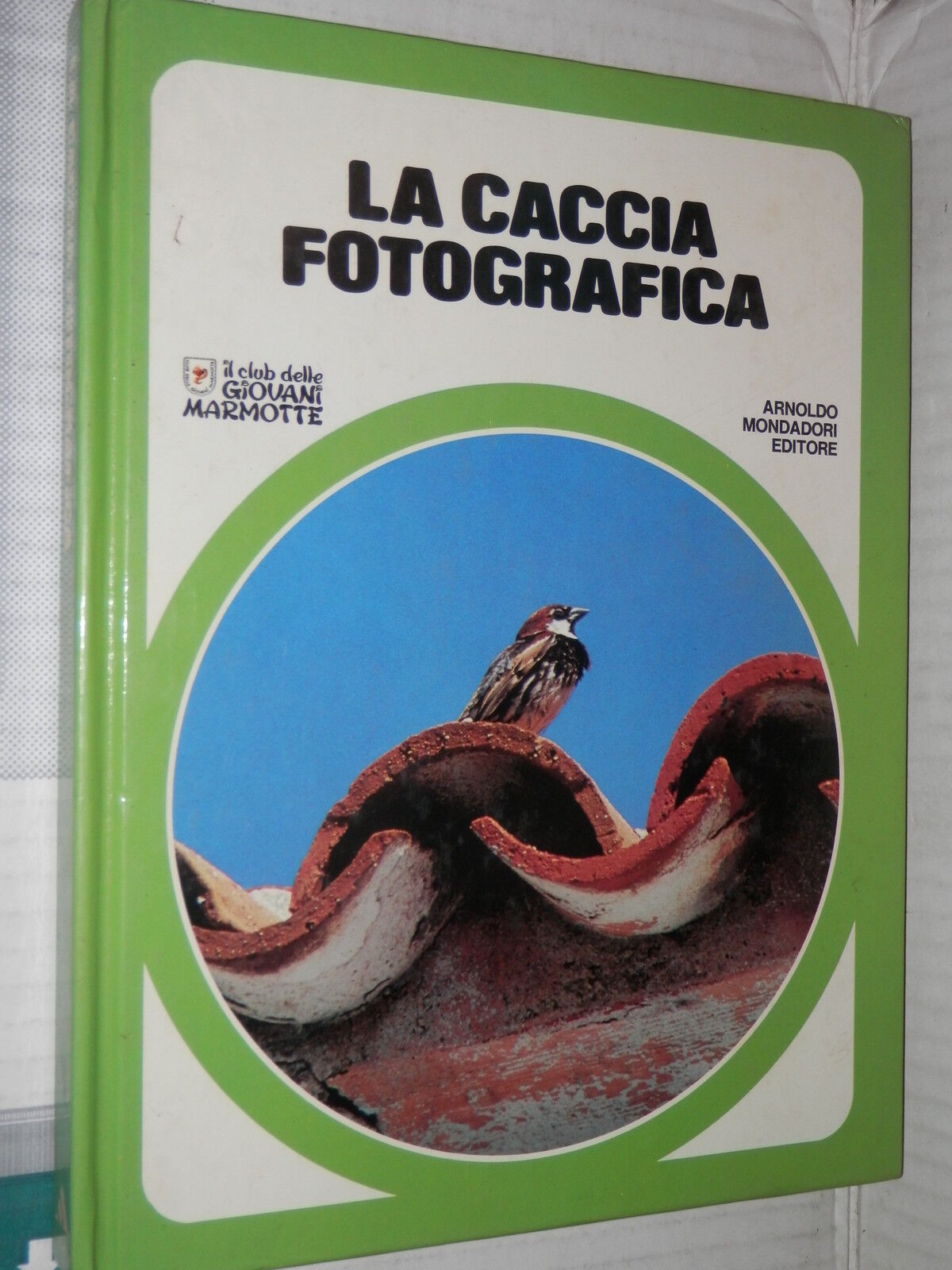 24741319