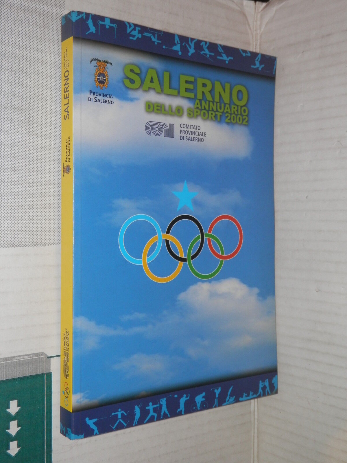 24741386