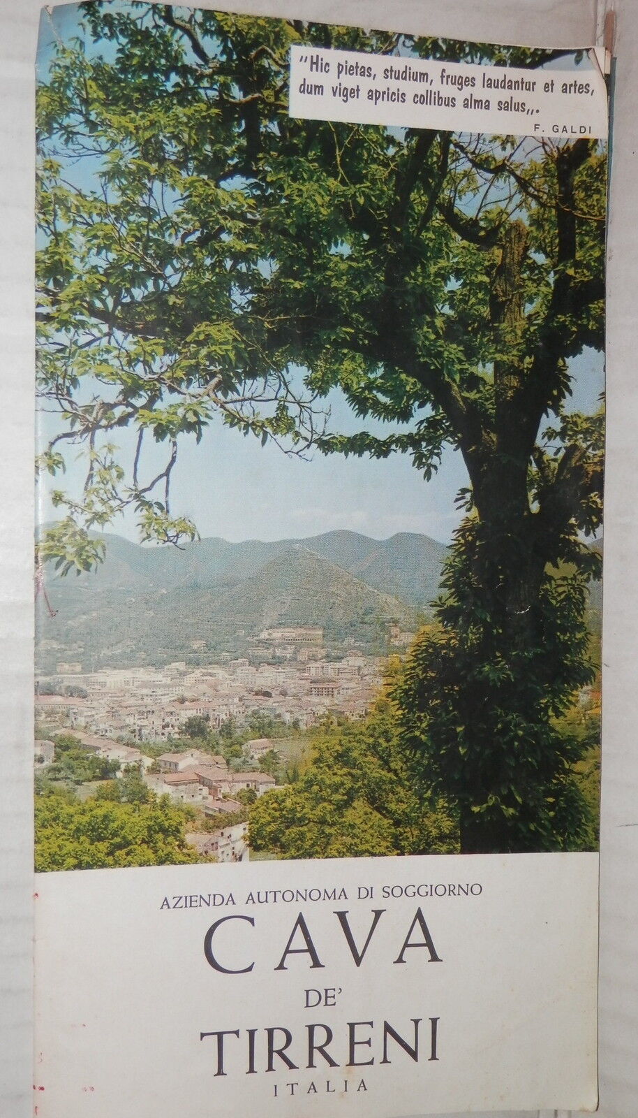24741662