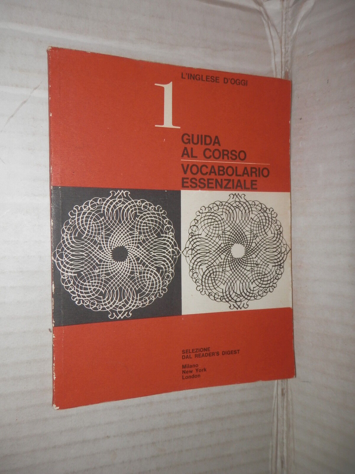 24555117