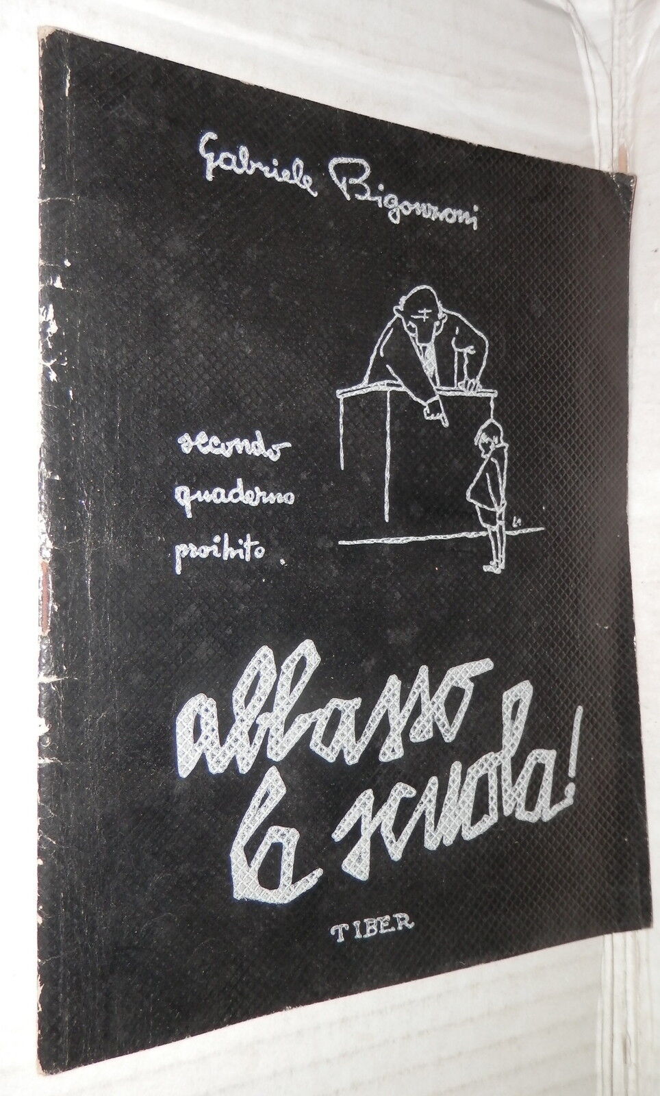 24556616