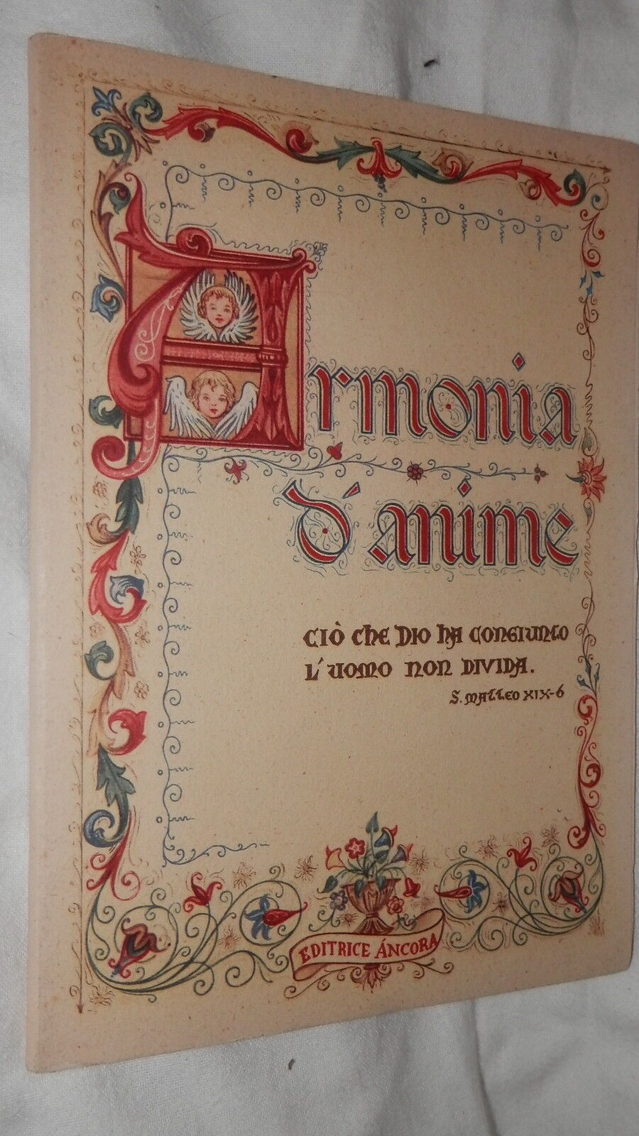 24530853