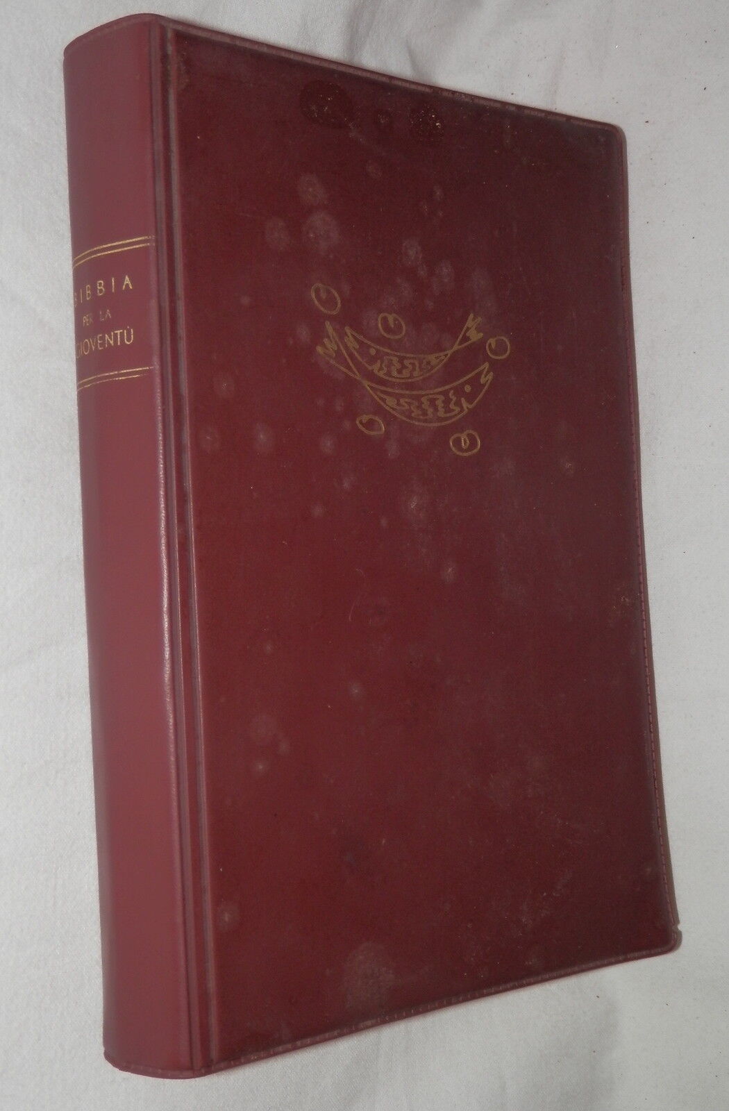24531143