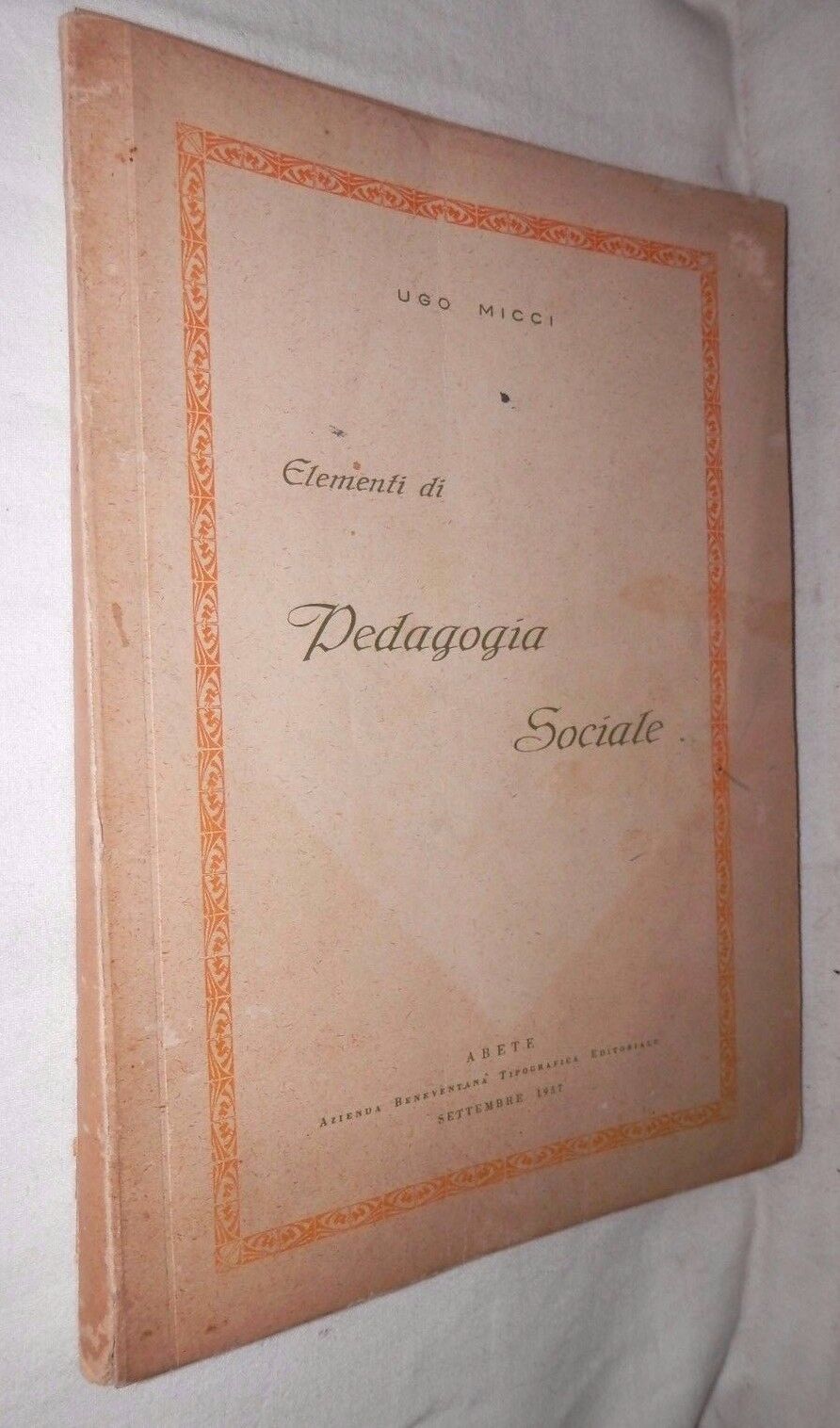 24075229