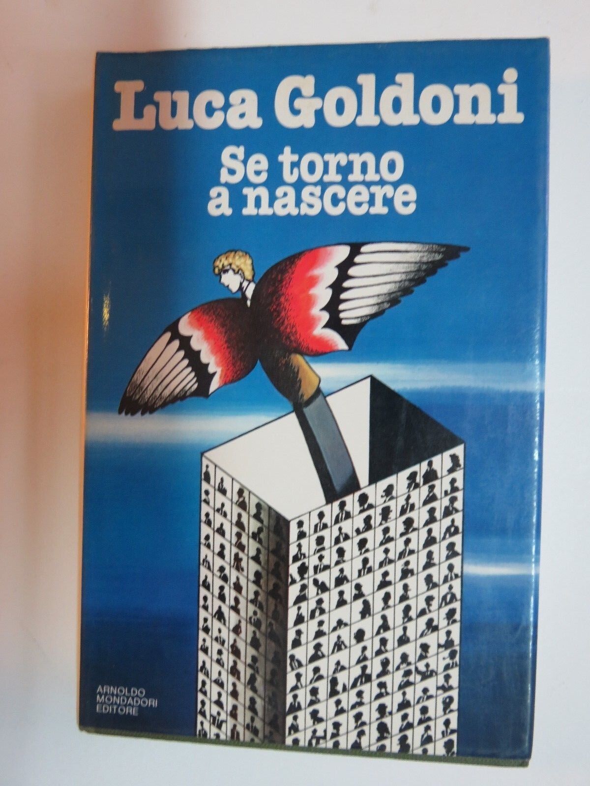 24019495