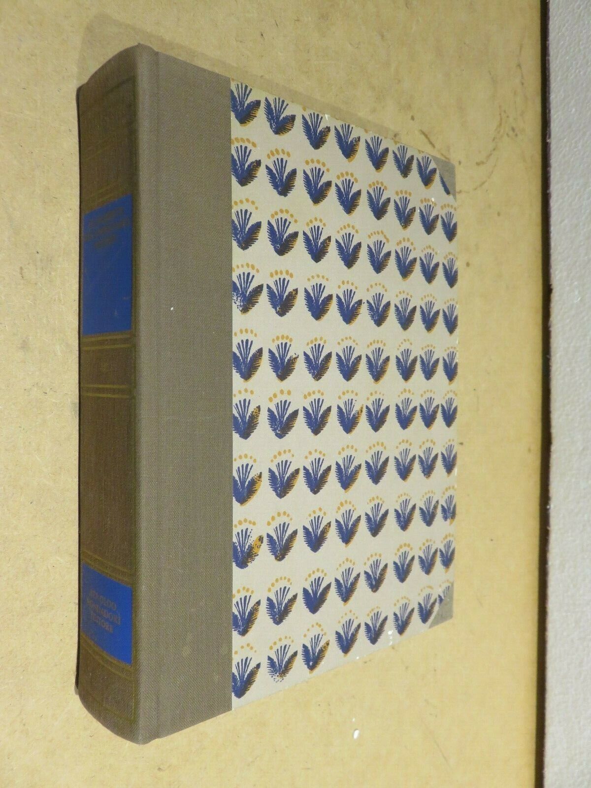 23969250