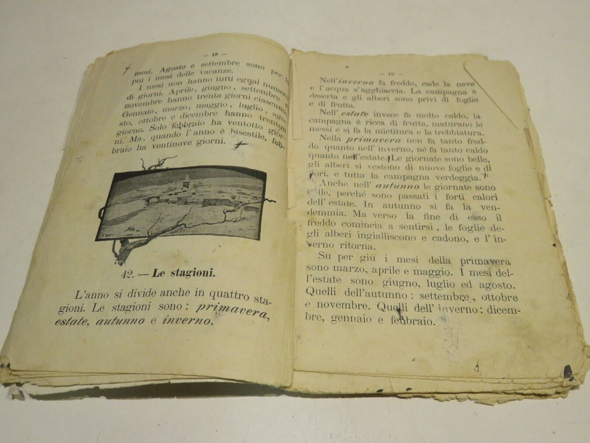 23999187