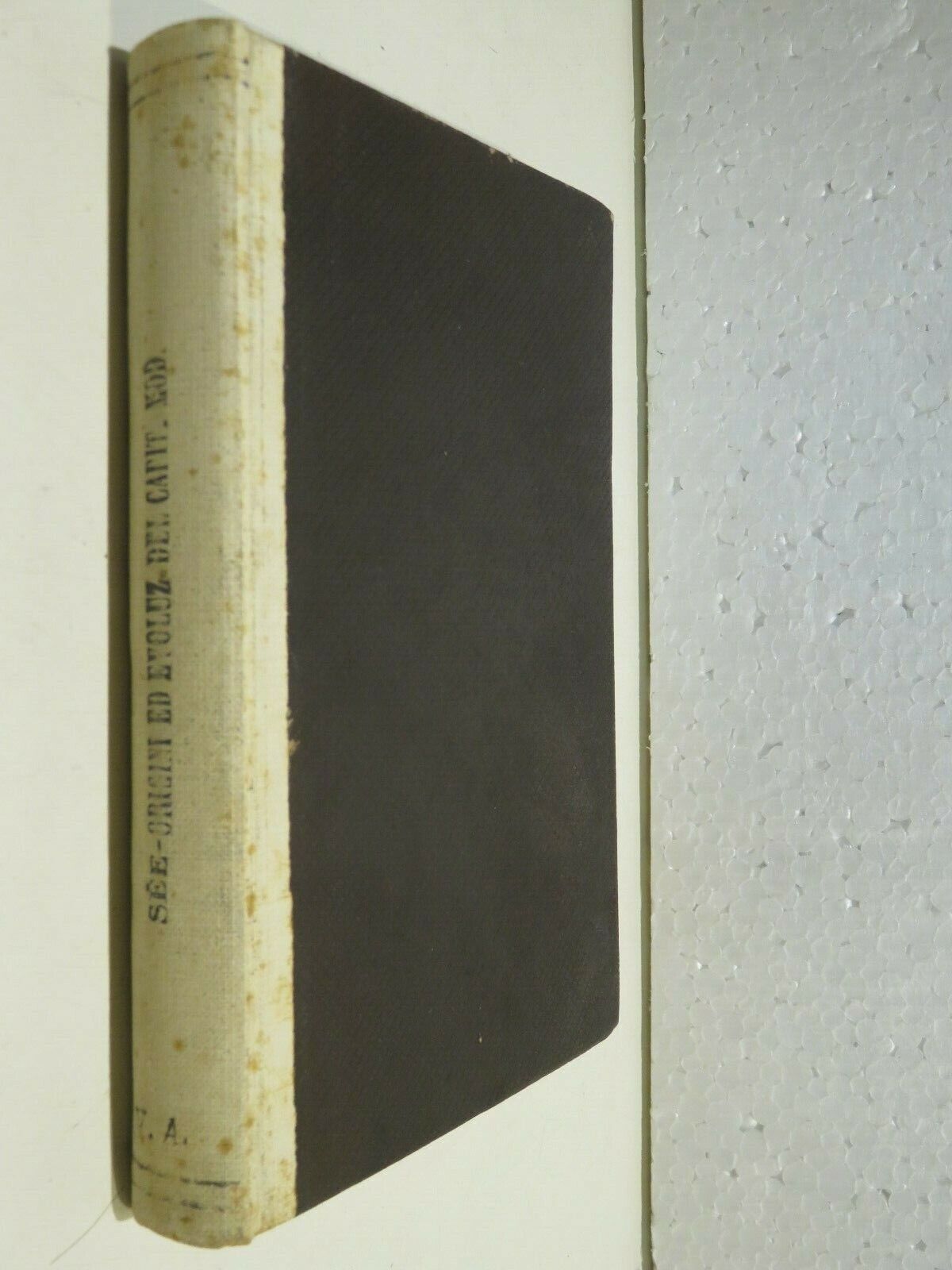 24046807