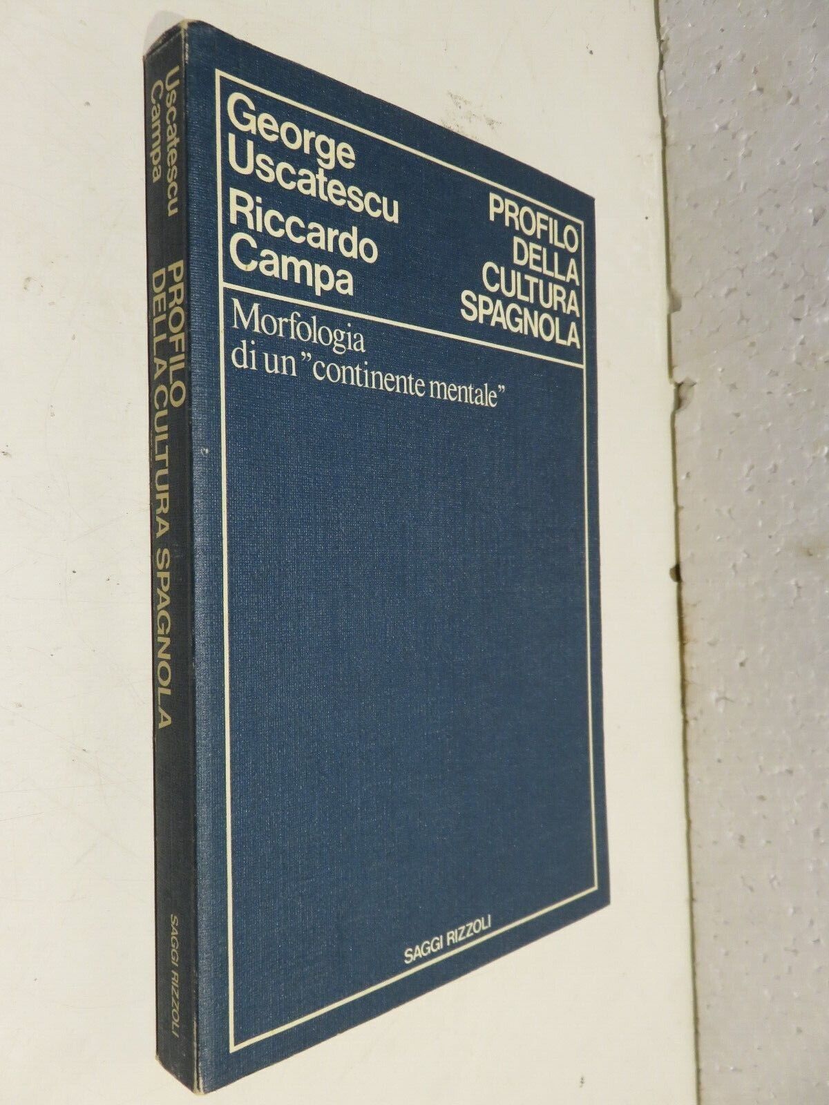 23966549
