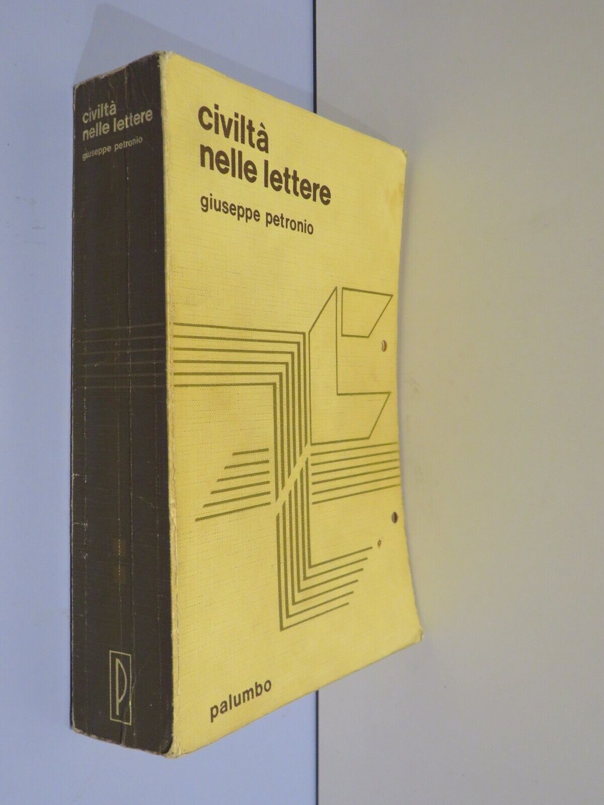 23955101