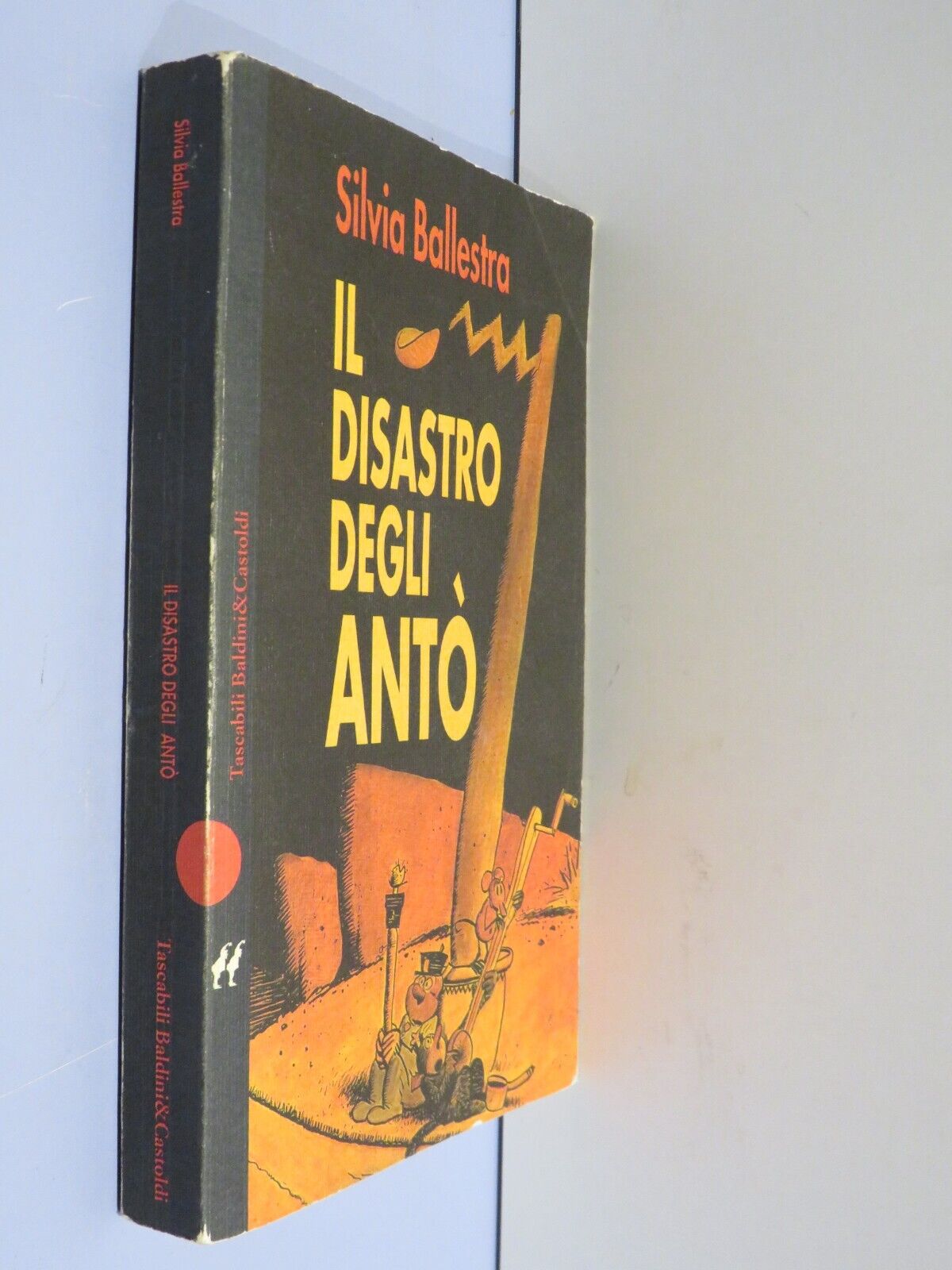 23966479