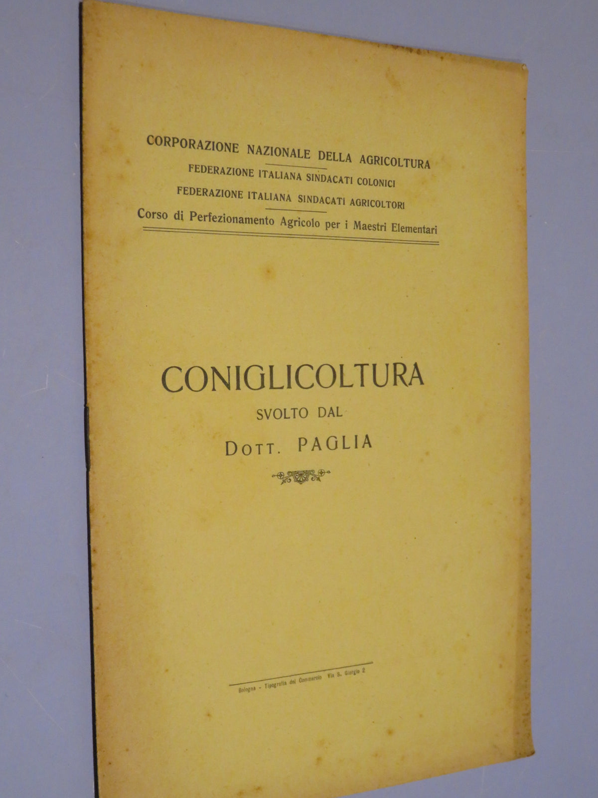 24728804