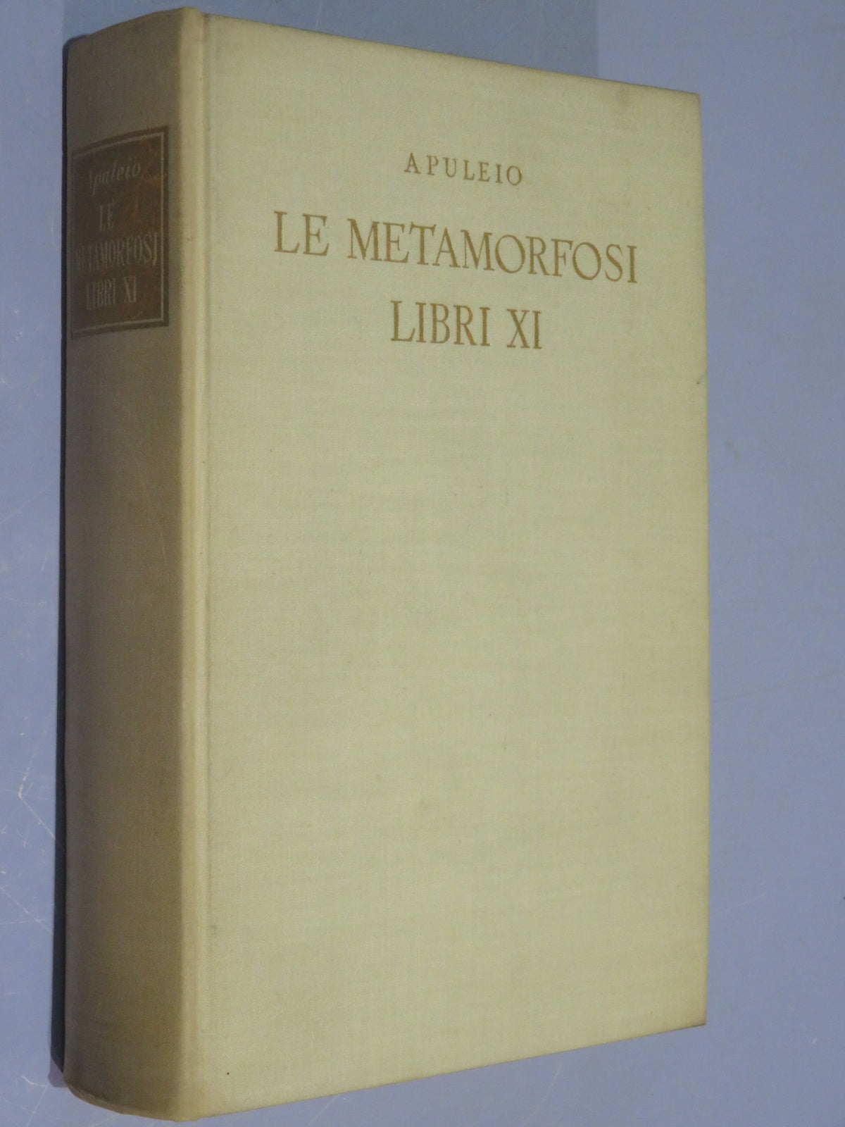 46021614