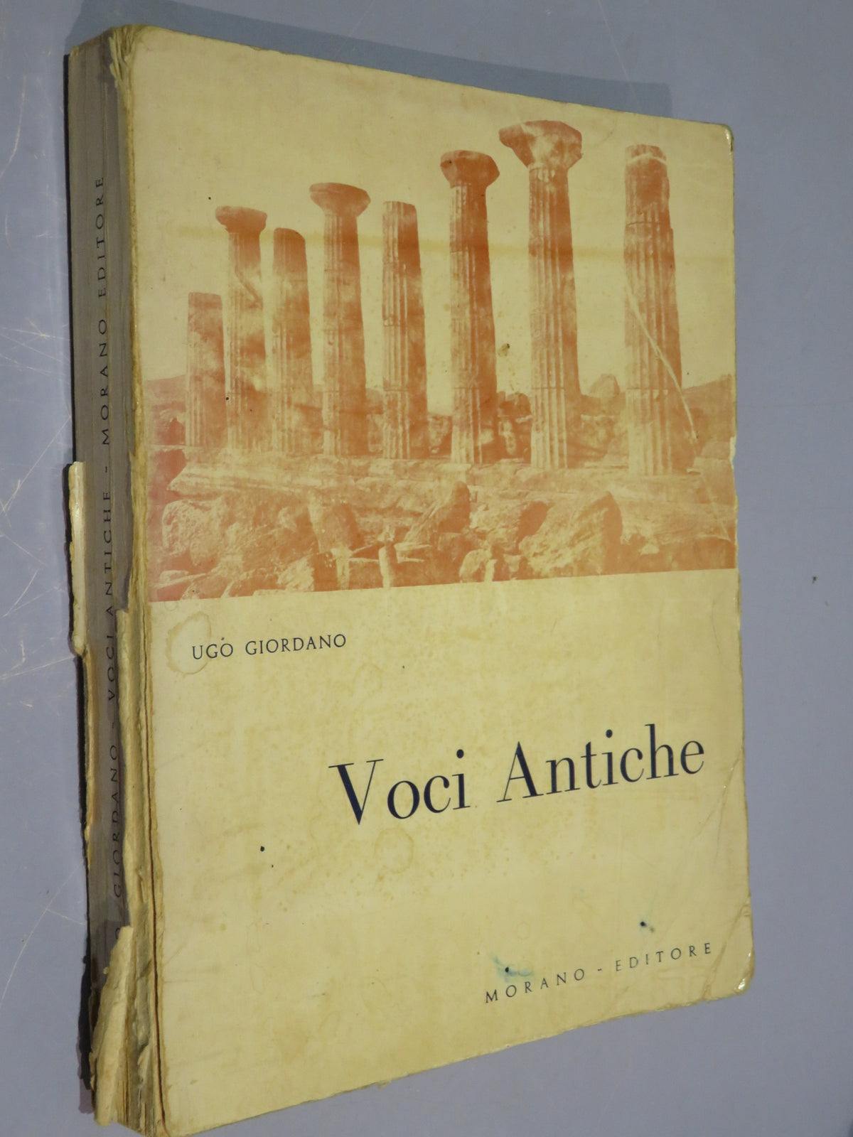 46022359
