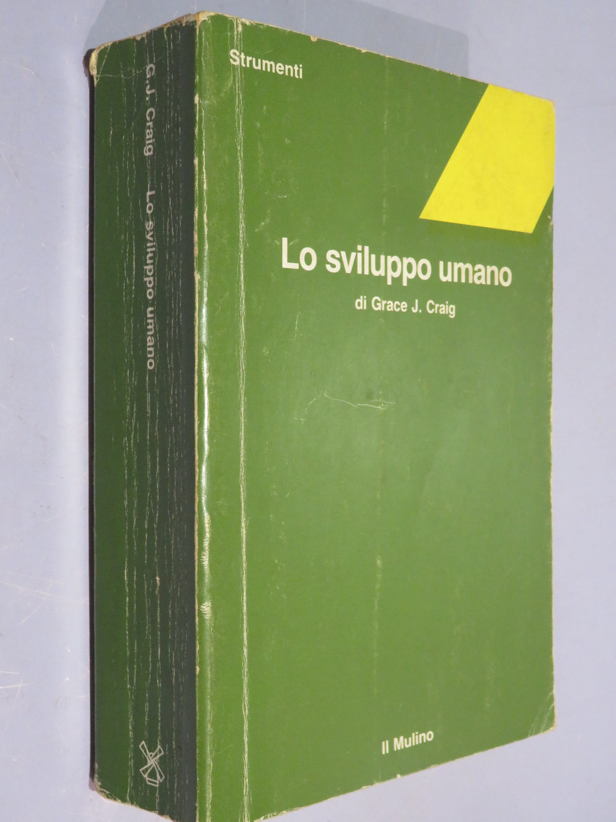 51068734