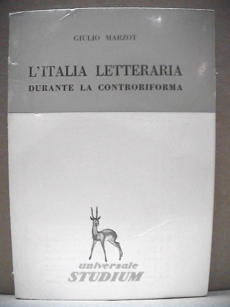 23955362