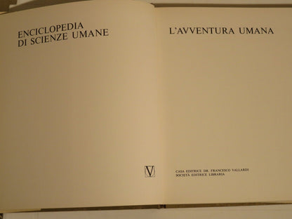 23957523