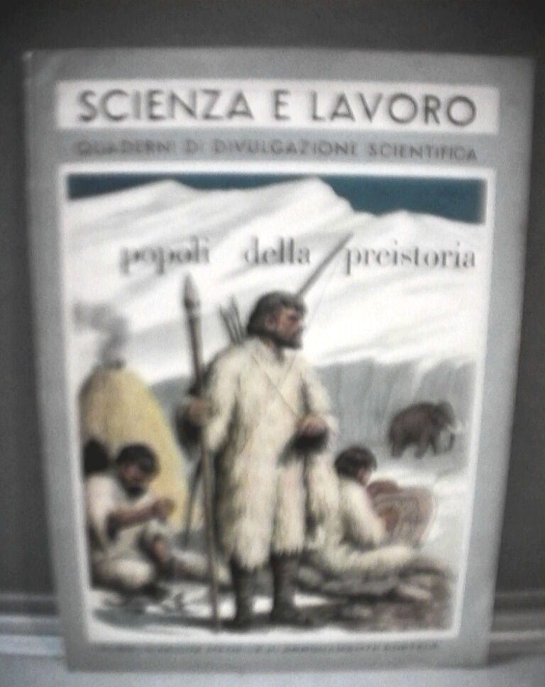 23970666
