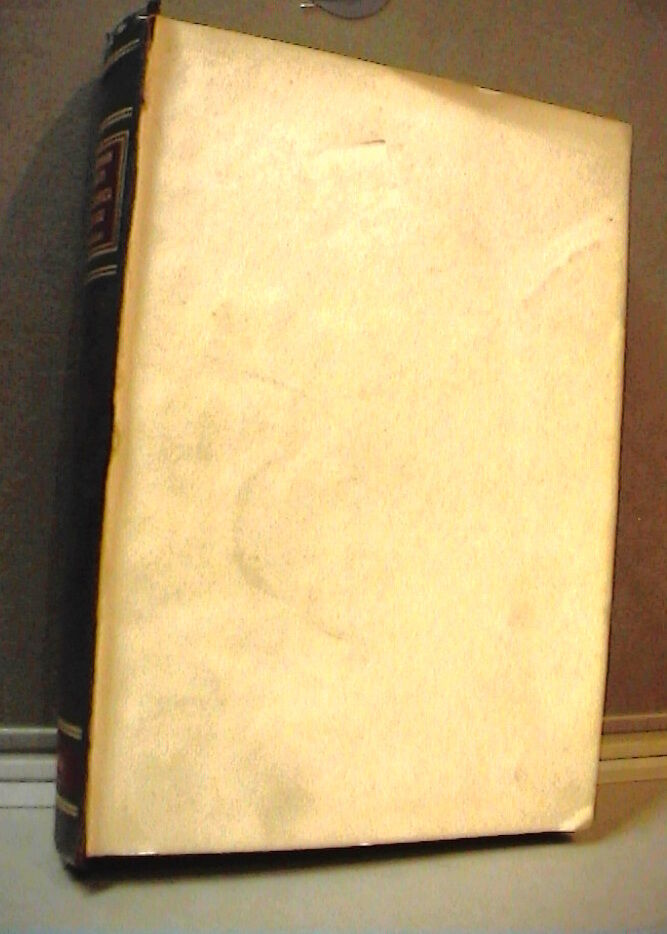 23973602