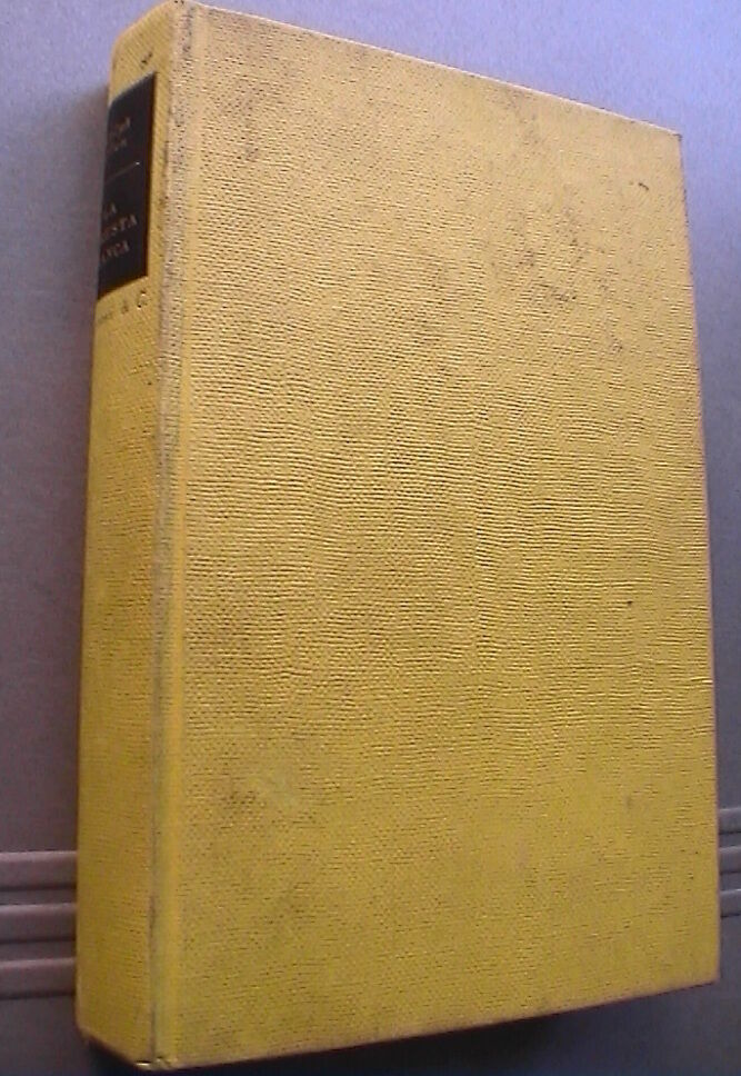 23973885