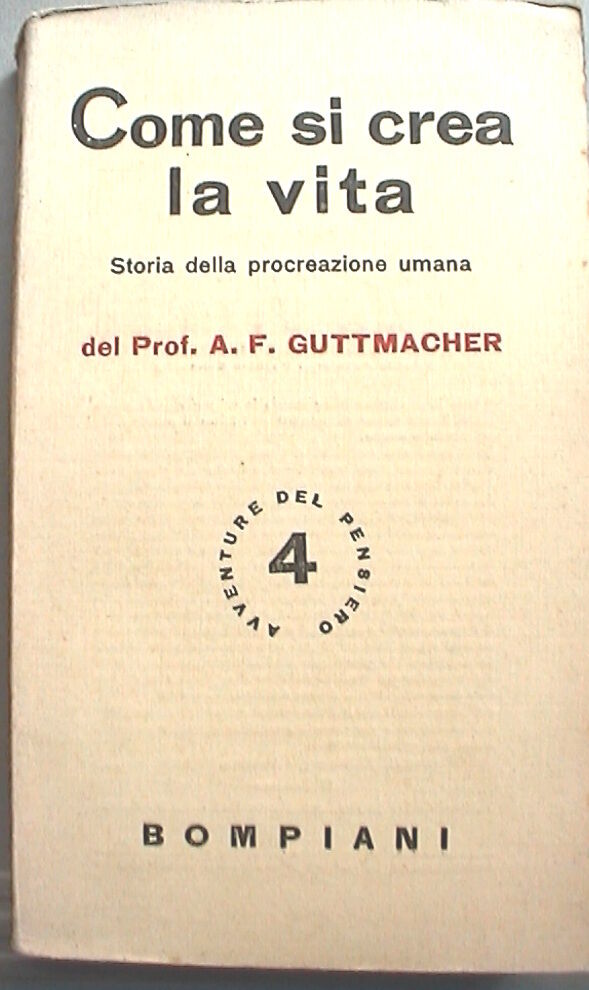 23953381