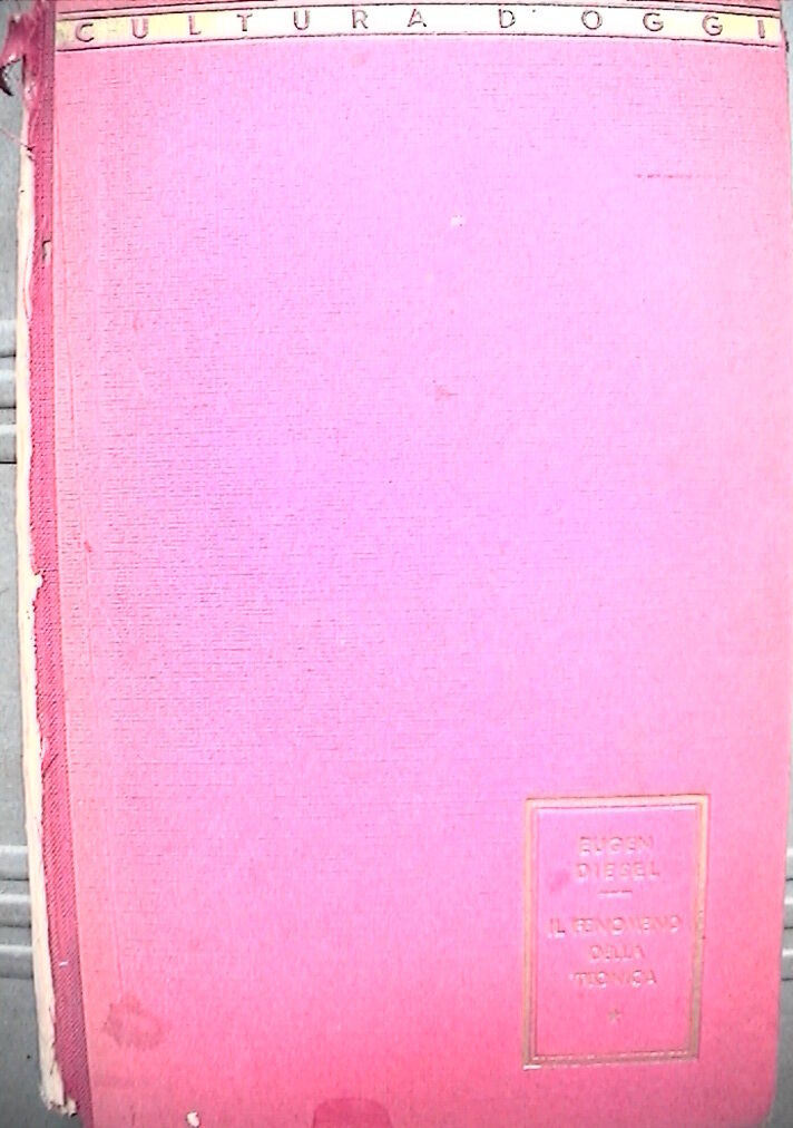 23954827