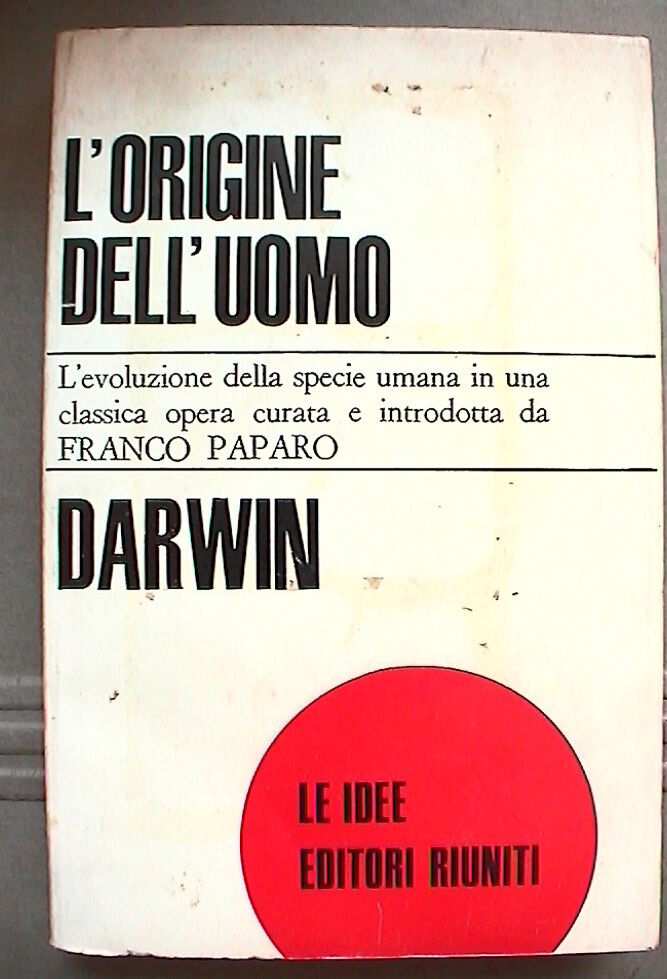 23954877