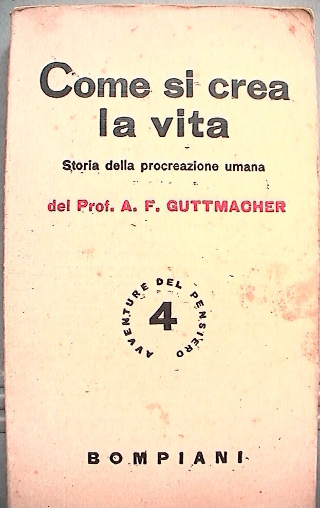 23955451