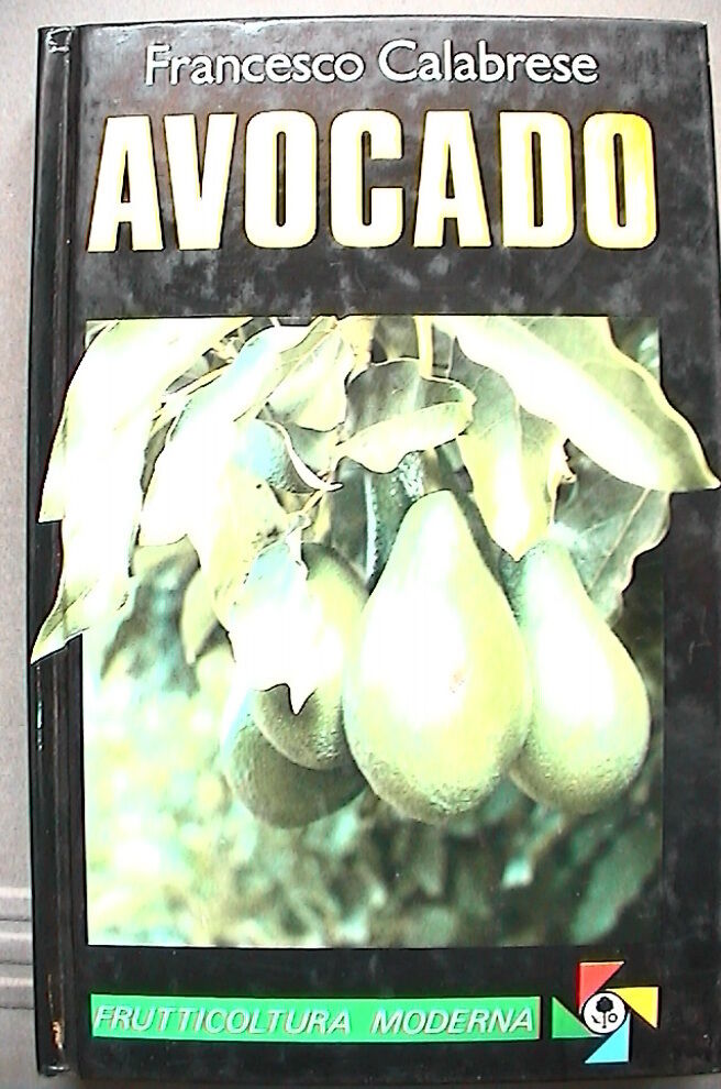 23956604