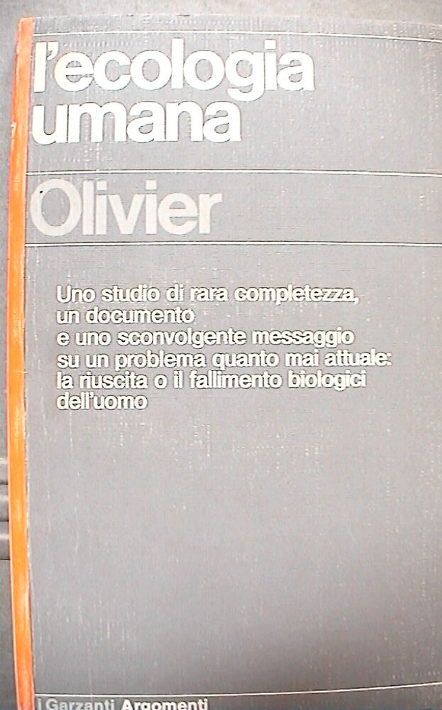 23956768