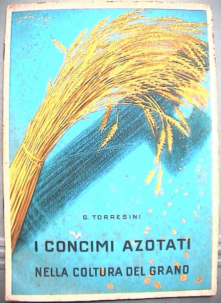 23957598