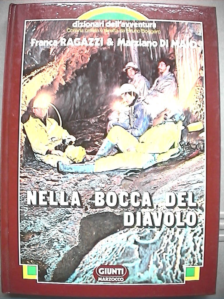 23957819