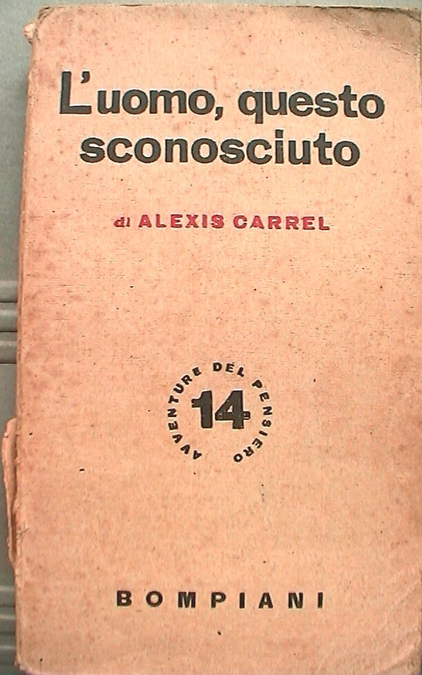 23958350