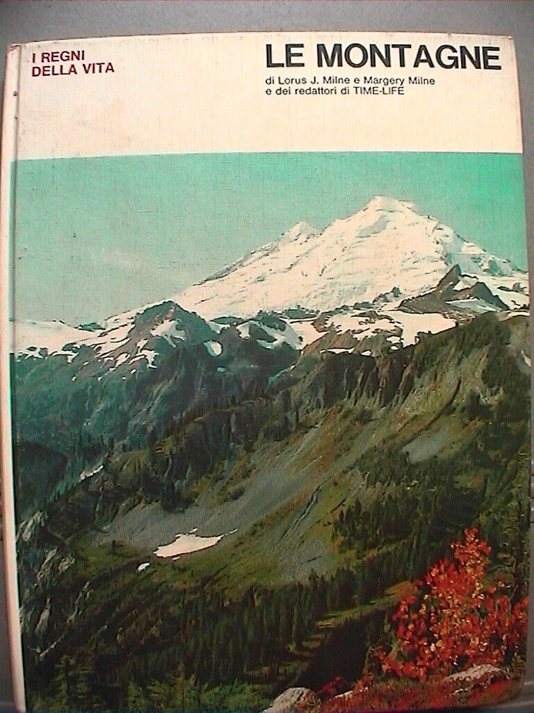 23958431