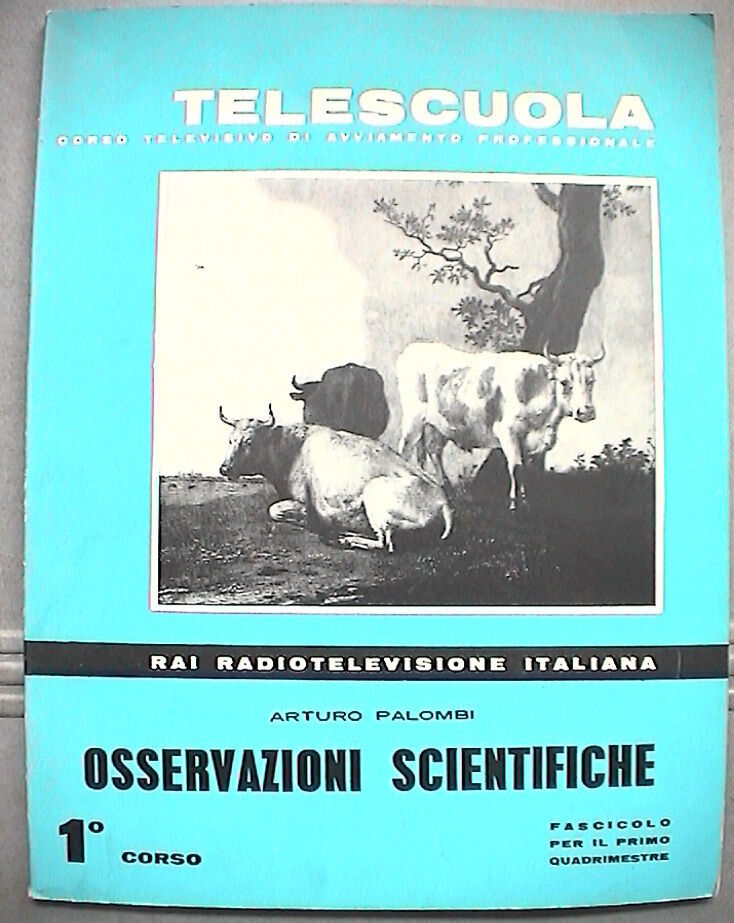 23958542